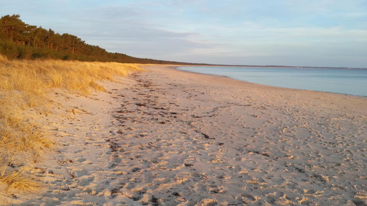 Ostseehaus Lea Doppelhaushaelfte Wiek auf Rügen 外观 照片